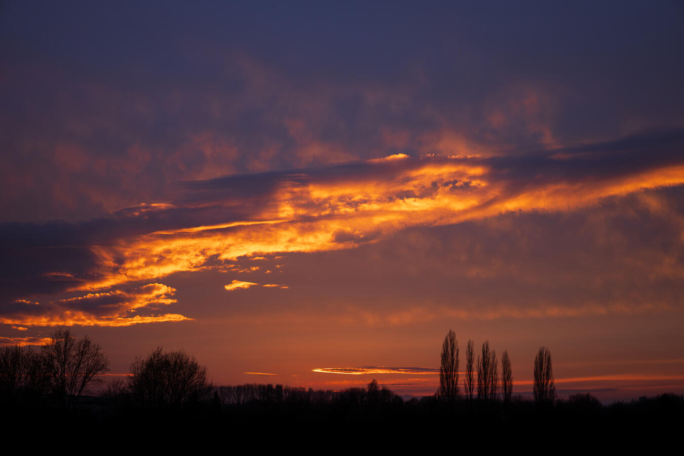 Weitwinkel Dokumentation eines dramatischen Sonnenuntergangs in Porta Westfalica. Eine dunkle Silhouette von Bäumen und einer Baumgruppe im Vordergrund bildet einen Kontrast zu den leuchtenden orangefarbenen und goldenen Wolkenformationen.